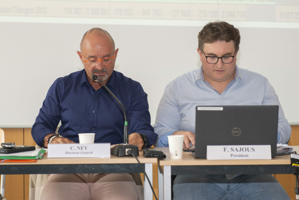 Le Président et le Directeur de l'Udaf à la tribune de l'AG
